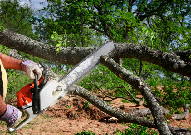 Landscape Design and Installation in Deep River Center, CT